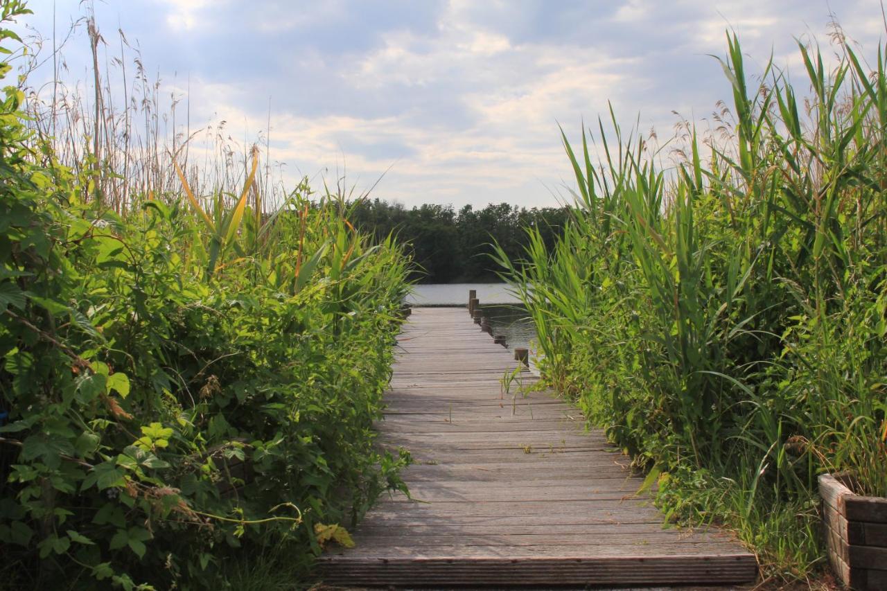 Moderne Und Helle Ferienwohnung Am Ploener See Bosau Екстер'єр фото